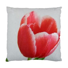 Red Tulip Watercolor Painting Standard Cushion Case (one Side) by picsaspassion