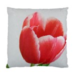 Red Tulip Watercolor Painting Standard Cushion Case (One Side) Front