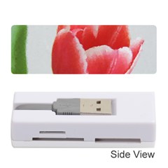 Red Tulip Watercolor Painting Memory Card Reader (stick)  by picsaspassion