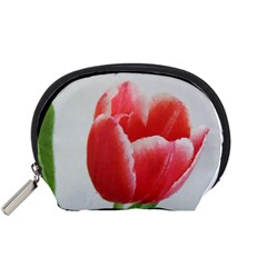 Red Tulip Watercolor Painting Accessory Pouches (small)  by picsaspassion