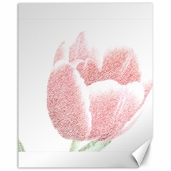 Red Tulip Pencil Drawing Canvas 16  X 20   by picsaspassion