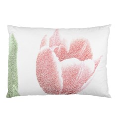 Red Tulip Pencil Drawing Pillow Case by picsaspassion