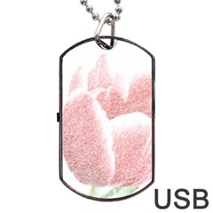 Red Tulip Pencil Drawing Dog Tag Usb Flash (two Sides)  by picsaspassion