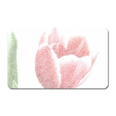 Red Tulip Pencil Drawing Magnet (rectangular) by picsaspassion