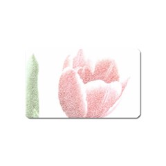 Red Tulip Pencil Drawing Magnet (name Card) by picsaspassion