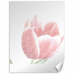 Red Tulip Pencil Drawing Canvas 18  X 24   by picsaspassion