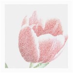 Red Tulip pencil drawing Medium Glasses Cloth (2-Side) Front