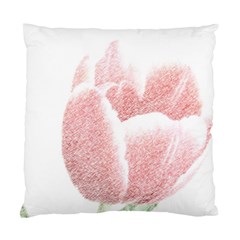 Red Tulip Pencil Drawing Standard Cushion Case (one Side) by picsaspassion