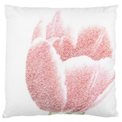 Red Tulip Pencil Drawing Large Cushion Case (one Side) by picsaspassion