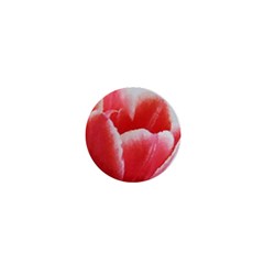 Tulip Red Watercolor Painting 1  Mini Buttons by picsaspassion