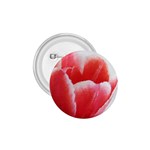 Tulip red watercolor painting 1.75  Buttons Front