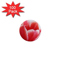 Tulip Red Watercolor Painting 1  Mini Magnets (100 Pack)  by picsaspassion