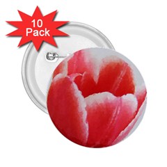 Tulip Red Watercolor Painting 2 25  Buttons (10 Pack)  by picsaspassion