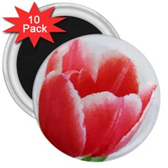 Tulip Red Watercolor Painting 3  Magnets (10 Pack)  by picsaspassion