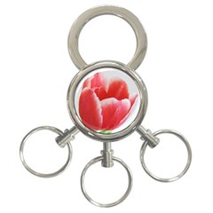 Tulip Red Watercolor Painting 3-ring Key Chains by picsaspassion