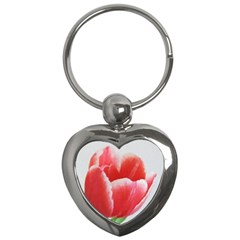 Tulip Red Watercolor Painting Key Chains (heart)  by picsaspassion