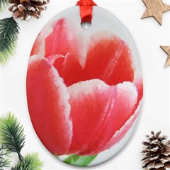 Tulip Red Watercolor Painting Oval Ornament (two Sides)