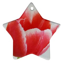 Tulip Red Watercolor Painting Star Ornament (two Sides) 