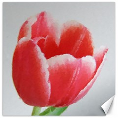 Tulip Red Watercolor Painting Canvas 20  X 20   by picsaspassion