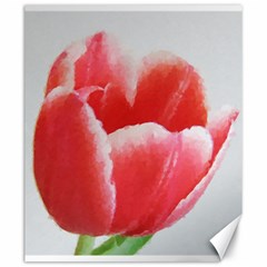 Tulip Red Watercolor Painting Canvas 20  X 24   by picsaspassion