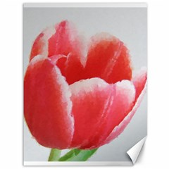 Tulip Red Watercolor Painting Canvas 36  X 48   by picsaspassion