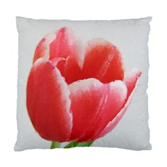 Tulip Red Watercolor Painting Standard Cushion Case (two Sides) by picsaspassion