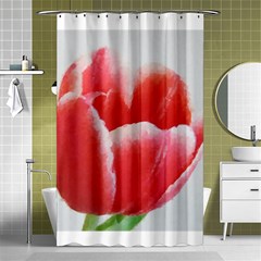 Tulip Red Watercolor Painting Shower Curtain 48  X 72  (small)  by picsaspassion