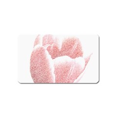 Tulip Red Pencil Drawing Art Magnet (name Card) by picsaspassion