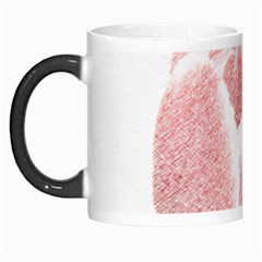 Tulip Red Pencil Drawing Art Morph Mugs by picsaspassion