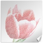 Tulip red pencil drawing art Canvas 20  x 20   19 x19.27  Canvas - 1