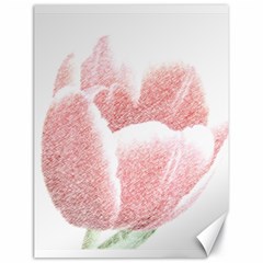 Tulip Red Pencil Drawing Art Canvas 18  X 24   by picsaspassion