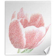 Tulip Red Pencil Drawing Art Canvas 20  X 24   by picsaspassion