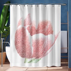 Tulip Red Pencil Drawing Art Shower Curtain 60  X 72  (medium)  by picsaspassion