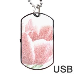 Tulip Red Pencil Drawing Art Dog Tag Usb Flash (two Sides)  by picsaspassion