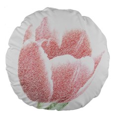 Tulip Red Pencil Drawing Art Large 18  Premium Flano Round Cushions by picsaspassion