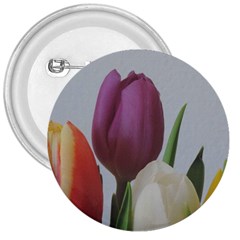 Tulips 3  Buttons by picsaspassion