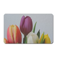 Tulips Magnet (rectangular)