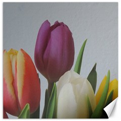 Tulips Canvas 12  X 12  