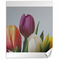 Tulips Canvas 16  X 20  