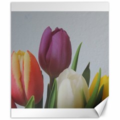 Tulips Canvas 20  X 24  