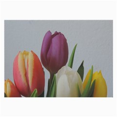 Tulips Large Glasses Cloth