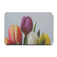 Tulips Small Doormat 