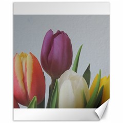 Tulips Canvas 11  X 14  