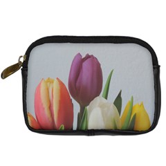 Tulips Digital Camera Cases by picsaspassion