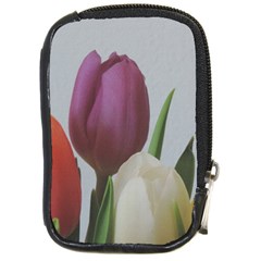 Tulips Compact Camera Cases by picsaspassion