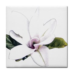 White Magnolia Pencil Drawing Art Tile Coasters