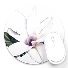 White Magnolia Pencil Drawing Art Round Mousepads by picsaspassion