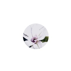 White Magnolia Pencil Drawing Art 1  Mini Buttons by picsaspassion