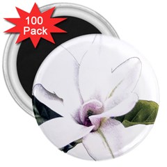 White Magnolia Pencil Drawing Art 3  Magnets (100 Pack) by picsaspassion