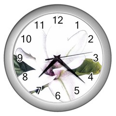 White Magnolia Pencil Drawing Art Wall Clocks (silver)  by picsaspassion